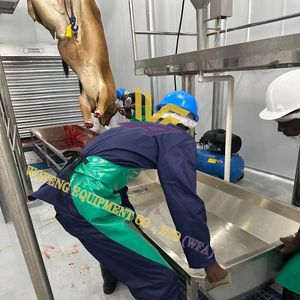 Équipement d'abattoir de vache à haute efficacité Ligne d'abattage de bétail Mini équipement d'abattoir de bétail - Product Image 4