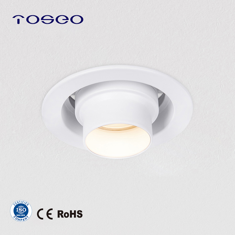 Adjustable Commercial LED Down Light Modern