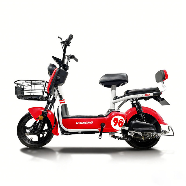 Factory Price 2 Wheel Adult Electric Bike 48v 350W/500W Long Distance Electric Moped Electric Bicycles for Sale