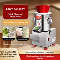 Robot culinaire électrique multifonction en acier inoxydable, hachoir à légumes commercial, hachoir à viande, mélangeur d'aliments pour volailles, hachoir à viande hachée