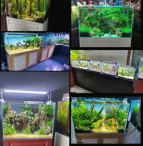 Vidro transparente para aquário, vidro para tanque de aquário ultra transparente para água doce - Product Image 6