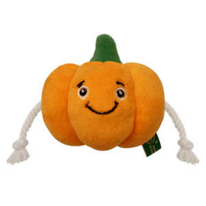 Juguete de peluche de mosca de hierba gatera de moda moderna dibujos animados lindo sonido simulado juguetes para masticar mascotas con hierba gatera recargable para gatos - Product Image 4