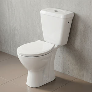 โถสุขภัณฑ์เซรามิกแบบสองชิ้น Aqua พร้อมระบบ S-Trap และ P-Trap แบบ Dual Flush ช่องเติมน้ำด้านข้าง - Product Image 6