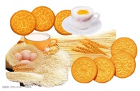 Machine à saupoudrer automatique électrique de sel et de sucre pour biscuits, distributeur d'assaisonnements en acier inoxydable pour ligne de production de boulangerie
