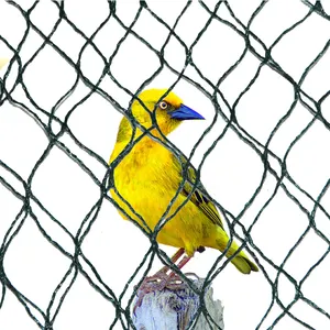 Пластиковая защита от птиц