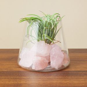 Kit de terrarium en <span class=keywords><strong>pierre</strong></span> brute de cristal naturel en gros pour plantes <span class=keywords><strong>a</strong></span>ériennes, idéal pour la décoration de bureau à domicile et comme cadeau de guérison spirituelle - Product Image 6