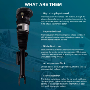 Jambe de suspension pneumatique avant droite pour BMW Série 6 <span class=keywords><strong>Gran</strong></span> <span class=keywords><strong>Turismo</strong></span> G32 2017-2023 <span class=keywords><strong>620d</strong></span> 630d 630i 640i 2WD OEM 37106866702 - Product Image 6