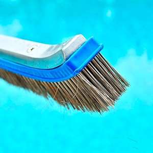 翡翠18 "スイミングプールクリーニングステンレス鋼ワイヤー剛毛壁ブラシアルミ付き - Product Image 3