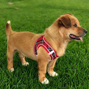 Arnés de Neopreno Personalizado para Cachorros DZ Designer, Cómodo Arnés de Nailon Suave para Mascotas con Función Ajustable - Product Image 6