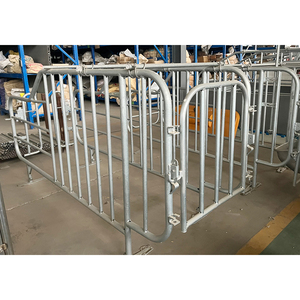 Jaulas para Cerdas de Cría de Marca Privada al por Mayor, Prueba de Gestación para Cerdos - Product Image 4