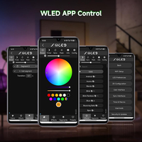 Contrôleur LED ESP32 WLED adressable 2.4G IO33 IO36 DIY SPI PWM pour bande LED USB C UART avec modes dynamiques de musique Wi-Fi et microphone intégré