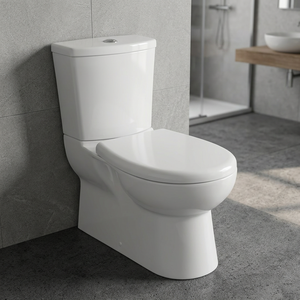 WC en céramique Vistaar à double chasse, à montage mural, avec design européen - Product Image 2