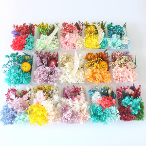 Flores Secas Mixtas en Caja para Manualidades, Decoración, Plantas Secas Eternas para Accesorios de Bricolaje, Joyería y Manualidades - Product Image 4