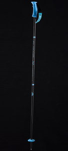 Carbon GS Polos Alpine Racing Ski Polos 16/9mm - Product Image 4