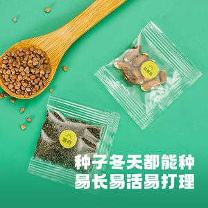 Kit de Jardín en Miniatura Science Duck, 6 Macetas, Juguete Científico de Cultivo de Semillas para Niños de 3+ Años, Set de Exploración de la Naturaleza y Plantación - Product Image 5