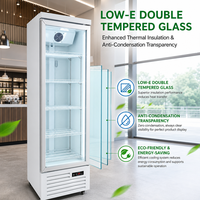 Congélateur vertical commercial personnalisé, style monotempérature, design fin, équipement de réfrigération directe pour la présentation de boissons