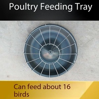 Grande mangeoire ronde pour poulets, canards et oies, nouveau bac et seau à nourriture pour volailles