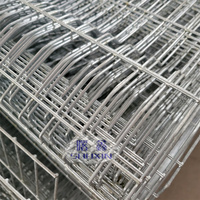 Nouveau système de collecte d'œufs automatique multifonctionnel pour poules pondeuses, cage à poulets de 96 à 160 couches, pour élevage avicole