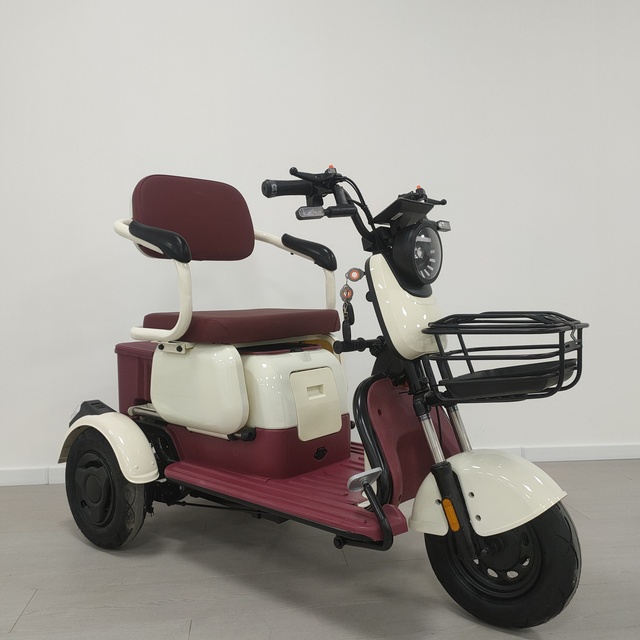 Electric Tricycle Scooter 3-Wheel 3-Speed High-Carbon Steel Open Body for Adults Passenger in Cheap Price