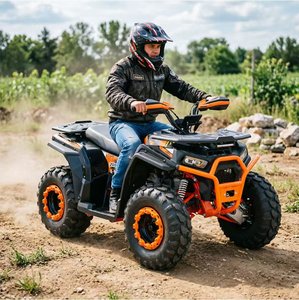Moto de course d'<span class=keywords><strong>occasion</strong></span> 180cc à essence 4 temps à transmission par chaîne pour adultes 4 places à vendre - Product Image 1