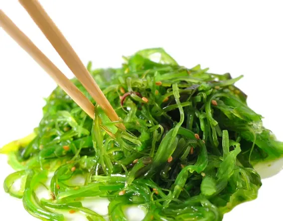 Atacado salada de algas marinhas gelada japonesa chuka acordar salada salada de alga marinha hiyashi