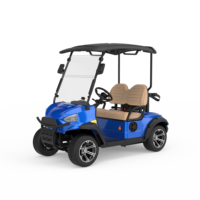Voiturette de golf électrique professionnelle personnalisée avec logo et accessoires couleur, nouveau modèle, autonomie de 60-80 miles, pour 2 personnes, idéale pour les communautés résidentielles