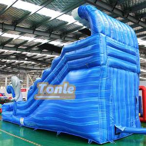 Trượt Nước Sóng Xanh Dương Trượt Cá Heo Bơm Hơi Đại Dương Có Bể Bơi Cho Trẻ Em - Product Image 6