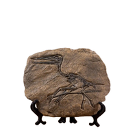 Adorno de Hueso de Tiranosaurio Rex de Simulación Creativa ODM/OEM, Fósil de Dinosaurio 3D para Decoración del Hogar, Salas de Estar, Resina de Vino