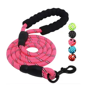 Pet Accessories Polo Dog Collar Soga Para Perros Shop Products Coleiras Cachorro Dog Collars Novelty Most Trending