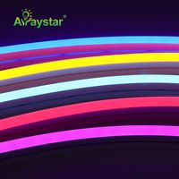 Lampu Neon Strip LED Kustom 5050 12V 24V Silikon Fleksibel Tahan Air Lampu Neon IP67 Tali Neon Fleksibel Led