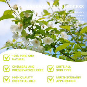 Huile essentielle absolue de fleur de jasmin biologique Vente en gros Distillation à la vapeur Fleur de jasmin Huile essentielle de massage pour le soin de la peau - Product Image 2