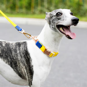 2023 grosir anjing peliharaan warna khusus kontras kalung PVC Set tali kulit personalisasi padat dapat mencetak nama anjing - Product Image 2