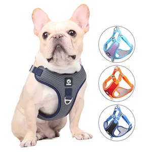 最畅销的中型大型犬可调狗带和带标志的皮带项圈套装