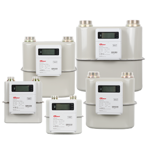 Infinity NB-IoT/GPRS/LoRaWAN/Sigfoxモジュラースマートガスメーター - Product Image 4