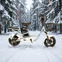 Vélo électrique 48V 12Ah avec batterie au plomb-acide, 350W, 16 pouces, vitesse maximale de 50 km/h, scooter à deux roues avec pédales et panier