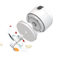 250Ml Ail Légumes Viande Usb Rechargeable Sans Fil Électrique Hachoir À Viande Cuisine Portable Ail Hachoir Mini Robot Culinaire