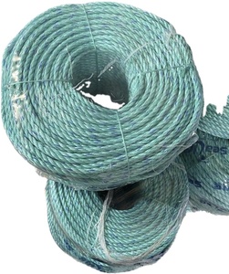 UV Resistant 3-Strand Polypropylene DANLINE Packaging Rope 3-40mm Customized Color for Marine Aquaculture Ocean <b>Fishing</b> Shipping - Product Image 2