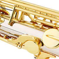 High Quality Saxophone E Flat for Students Beginner with Case Bag