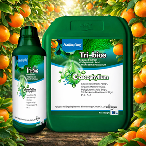 Extrait d'algues liquide à haute concentration pour les <span class=keywords><strong>agrumes</strong></span> |   <span class=keywords><strong>Bio</strong></span>-stimulant organique avec Trichoderma et acide polyglutamique - Product Image 1