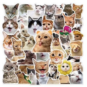 50 Piezas de Pegatinas de Vinilo Estéticas de Dibujos Animados Lindos, Calcomanías Impermeables de Moda, Divertidas Pegatinas de <span class=keywords><strong>Memes</strong></span> de Gatitos para Niños y Portátil - Product Image 1