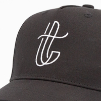 Gorra de Béisbol Personalizada con Visera Curva, Logotipo Bordado Plano en la Parte Delantera y Lateral, Ajustable, Negra, con Cierre a Presión, para Deportes al Aire Libre