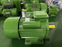Moteur électrique asynchrone monophasé haute efficacité série YC 0,25 kW, robuste, encastré, 3000 tr/min, 50/60 Hz, 220 V AC