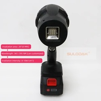 Lampe d'inspection UV - Détecteur de défauts de peinture automobile UVLED rechargeable pour la restauration d'objets anciens, l'évaluation de l'authenticité du jade