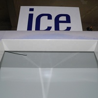 Réfrigérateur Commercial Vertical à Porte Unique pour Extérieur, Congélateur à Refroidissement Direct, Fabricant de Congélateurs Professionnels