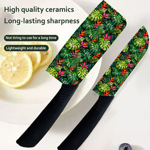 Juego de Cuchillos de Chef de Cerámica Japonesa, 5 Piezas, Juego de Regalo, Presentación Premium, Mangos de Plástico, Entrega Rápida, Envío Gratuito - Product Image 2