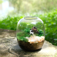 Pot intelligent pour la croissance des plantes, terrarium en verre borosilicate de haute qualité avec LED à intensité variable et contrôle du flux d'air pour la maison et les cadeaux