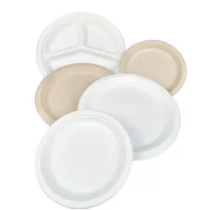 Compostable Tableware Disposable Biodegradable Dinnerware paper plate