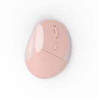 Pabrik Customizes 101 Dual-mode vertikal ergonomis berdiri Mouse bisnis 7 tombol pengisian daya nirkabel untuk penggunaan Laptop
