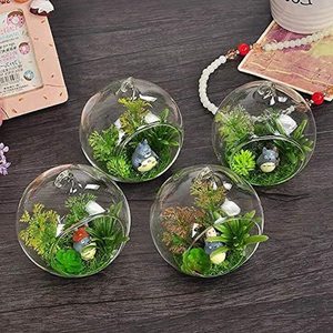 Globe suspendu <span class=keywords><strong>en</strong></span> <span class=keywords><strong>verre</strong></span> de terrarium, porte-bougie <span class=keywords><strong>à</strong></span> Air de plantes <span class=keywords><strong>à</strong></span> thé avec ficelle <span class=keywords><strong>pour</strong></span> décorations de mariage - Product Image 5