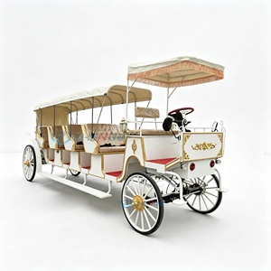 Voiture électrique de type calèche à chevaux, finition or blanc, pour les mariages et les excursions touristiques - Product Image 1